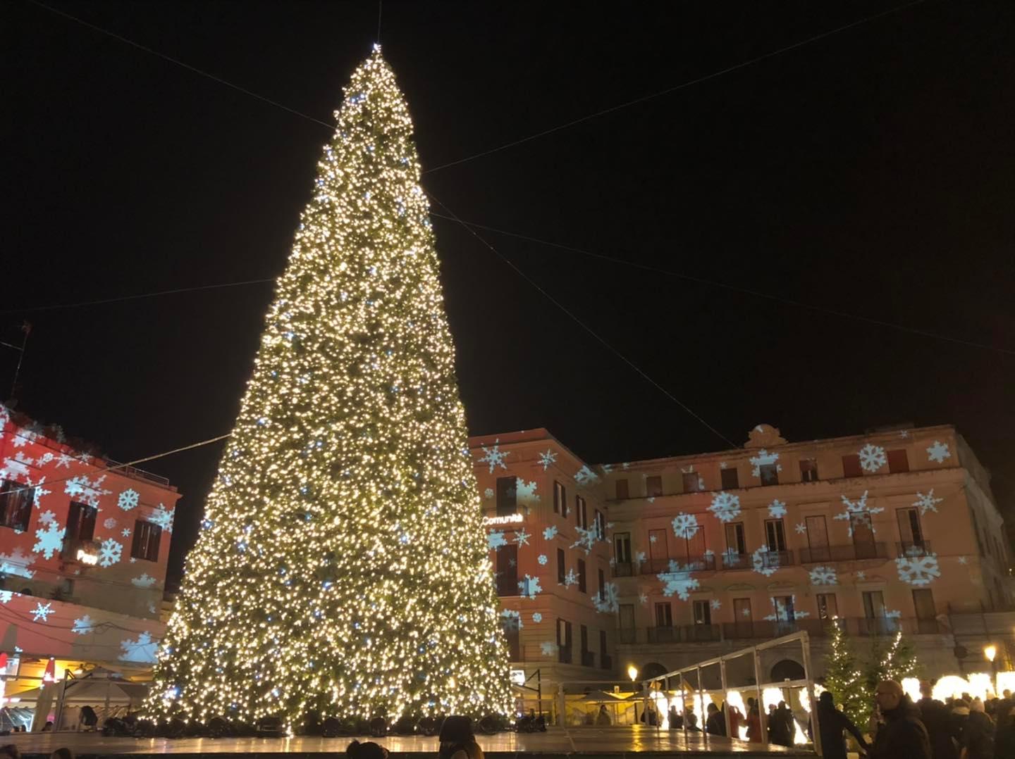 L’Albero di Natale in Piazza del Ferrarese